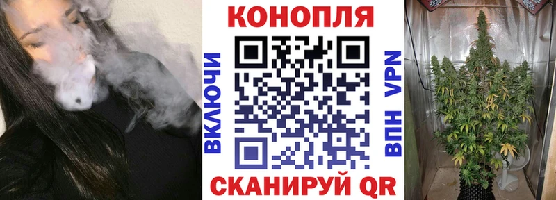 Где можно купить наркотики Павловский Посад Галлюциногенные грибы  Cocaine  Гашиш  Каннабис  APVP 