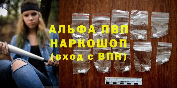 сатива Волоколамск