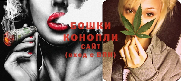 сатива Волоколамск
