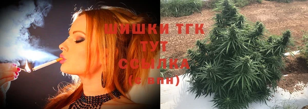 сатива Волоколамск