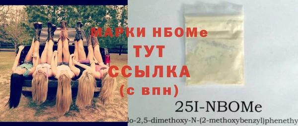 сатива Волоколамск